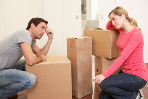 Local man and van helping with boxes and furniture
